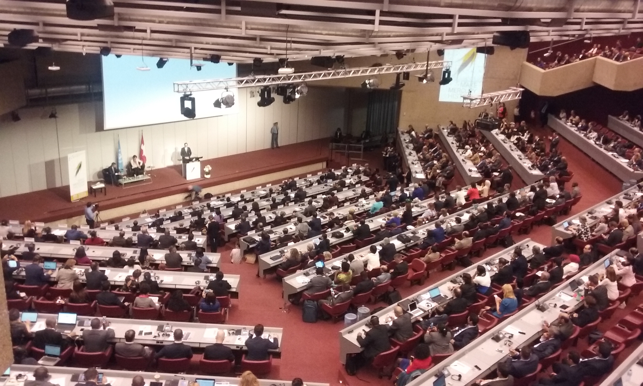 HWE present at the COP1 of the Minamata Convention
