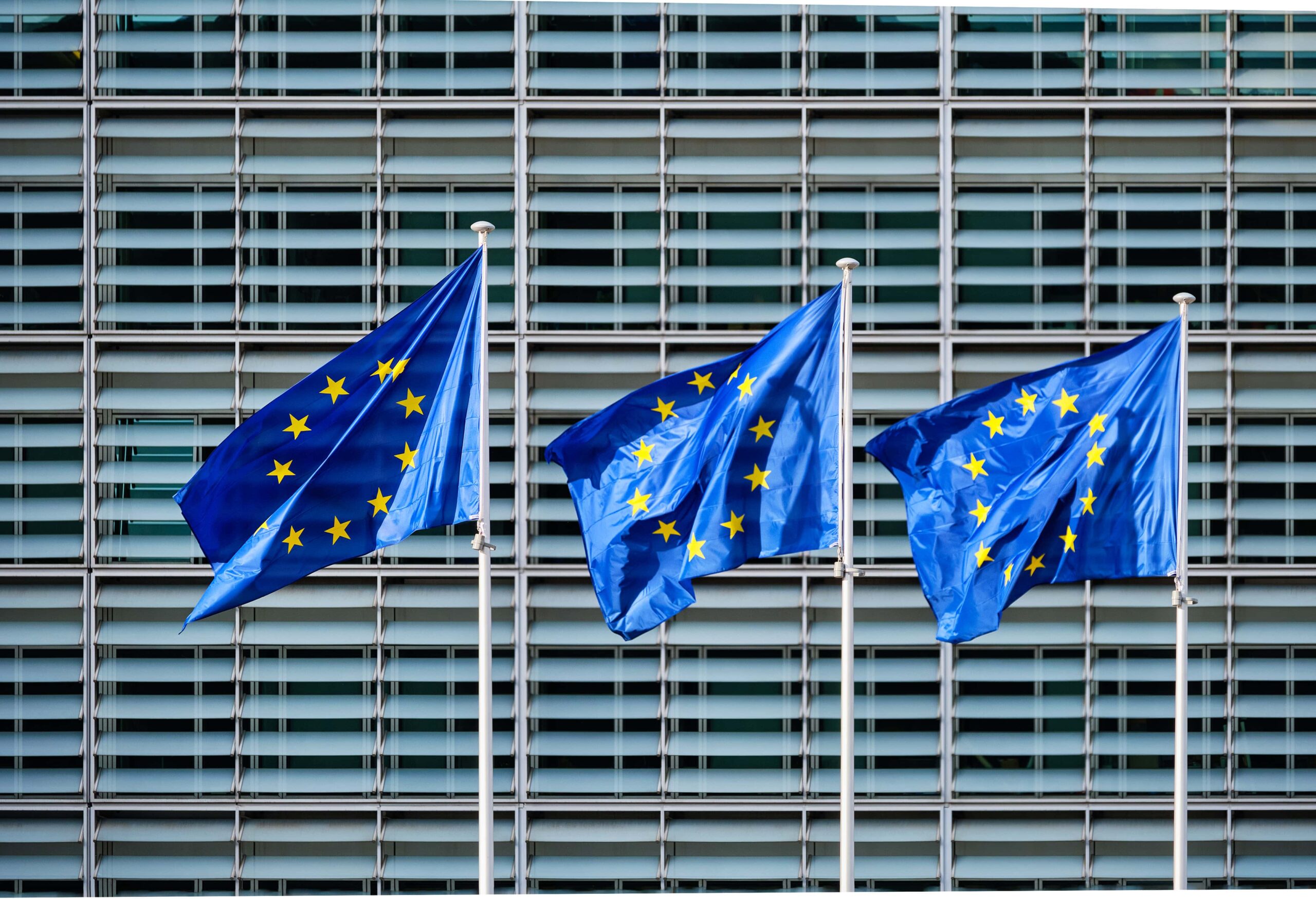 New Circular Economy Action Plan: HWE position
