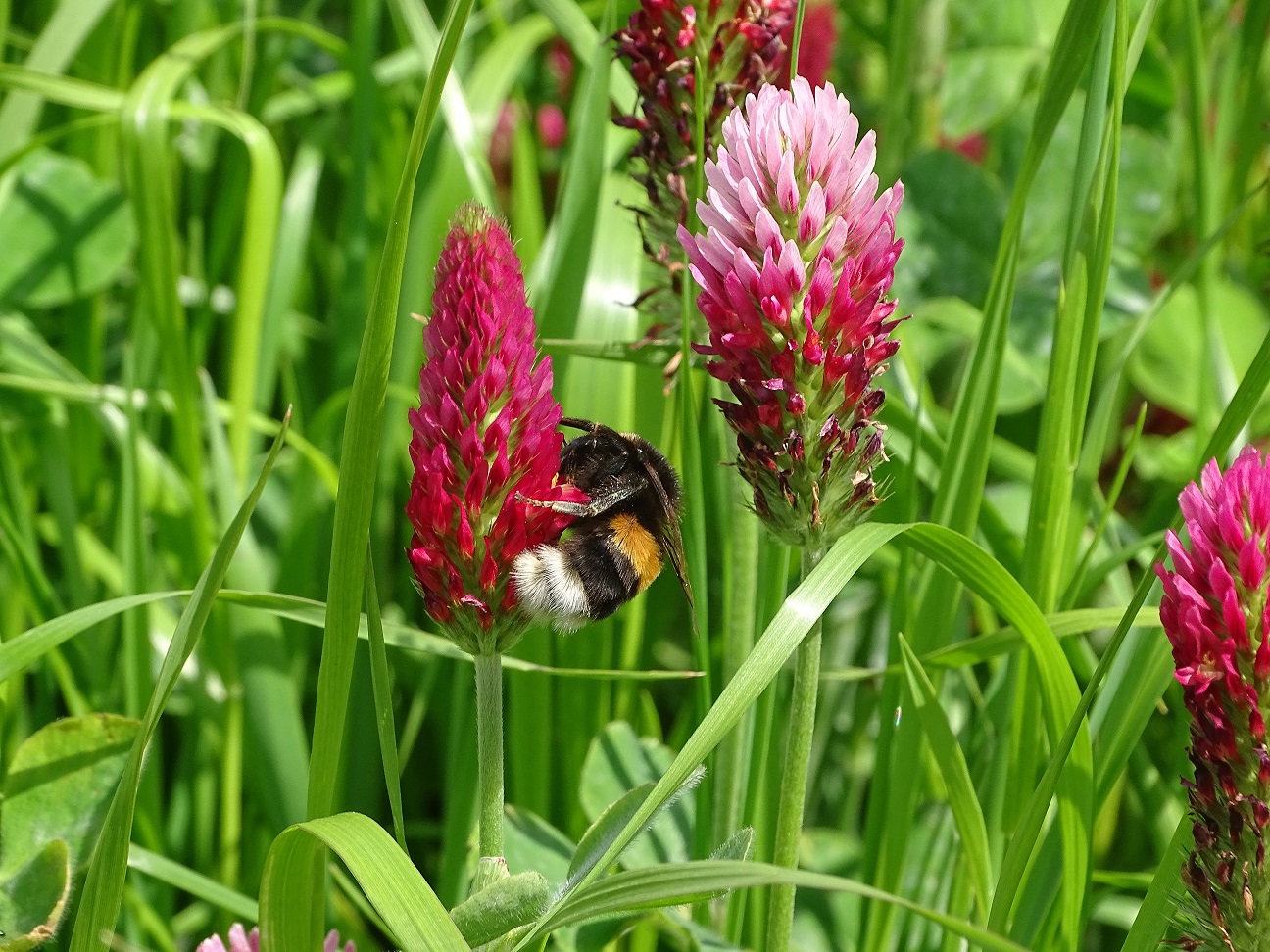HWE’s core message to the Zero Pollution Stakeholders Platform