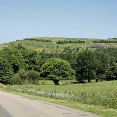 A zero pollution ambition for a toxic-free environment – HWE’s position