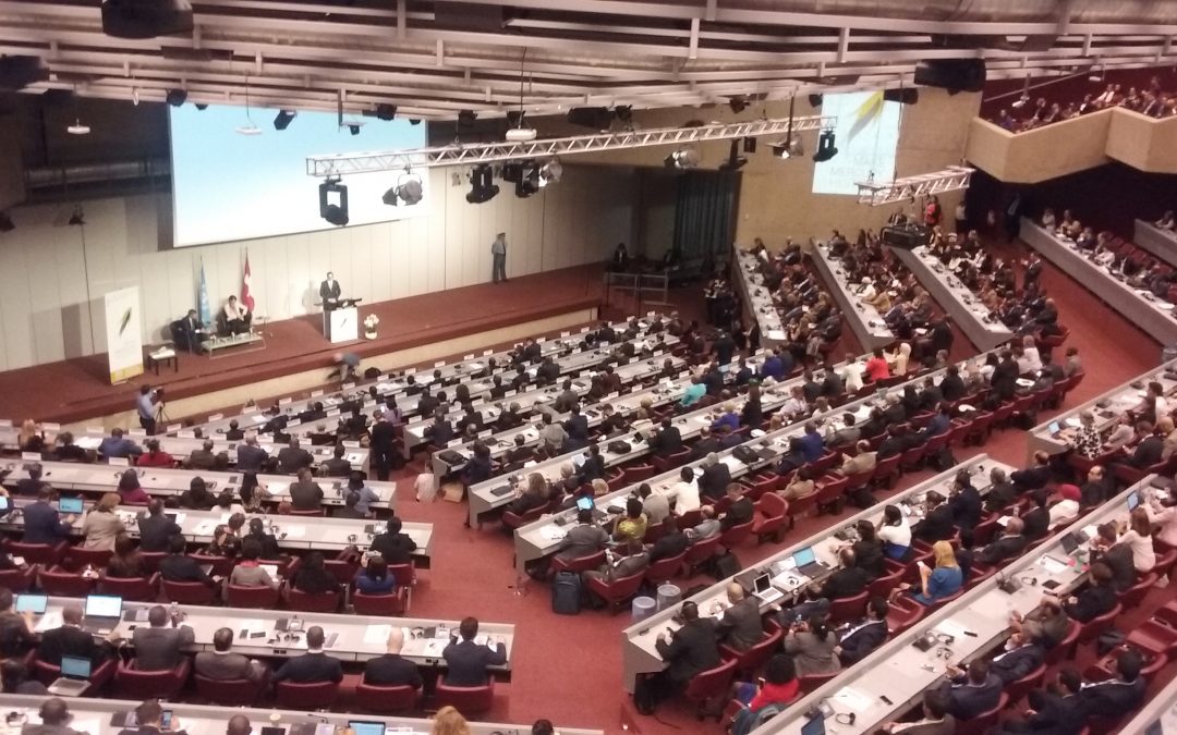 HWE present at the COP1 of the Minamata Convention