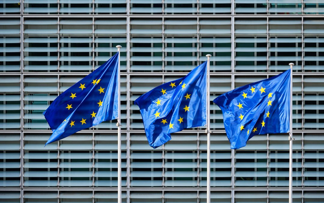 New Circular Economy Action Plan: HWE position
