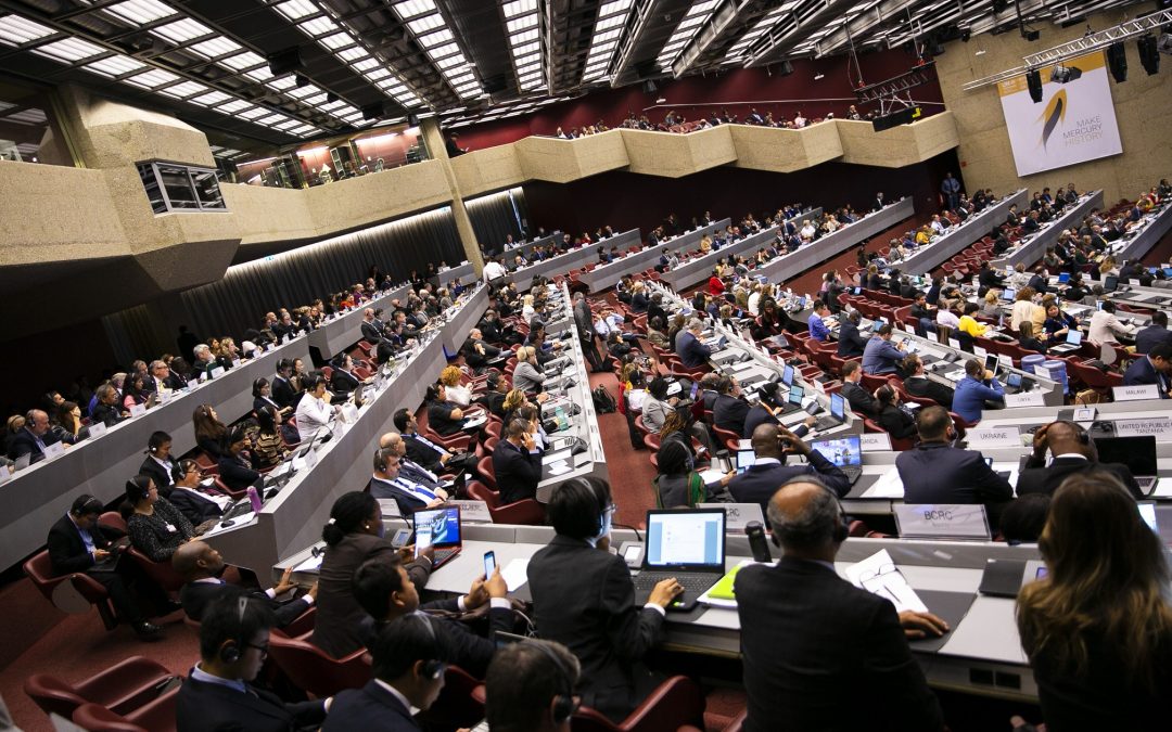 HWE present at the COP2 of the Minamata Convention