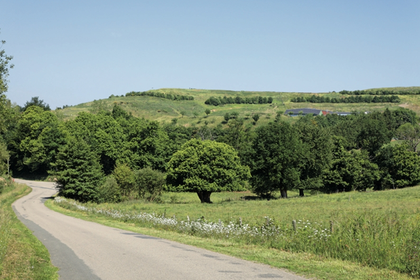A zero pollution ambition for a toxic-free environment – HWE’s position