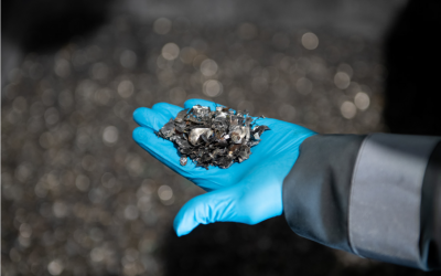 2024 Manifesto for a toxic-free EU